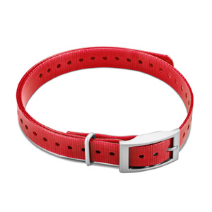 Hundehalsband Rot (1,9 cm)